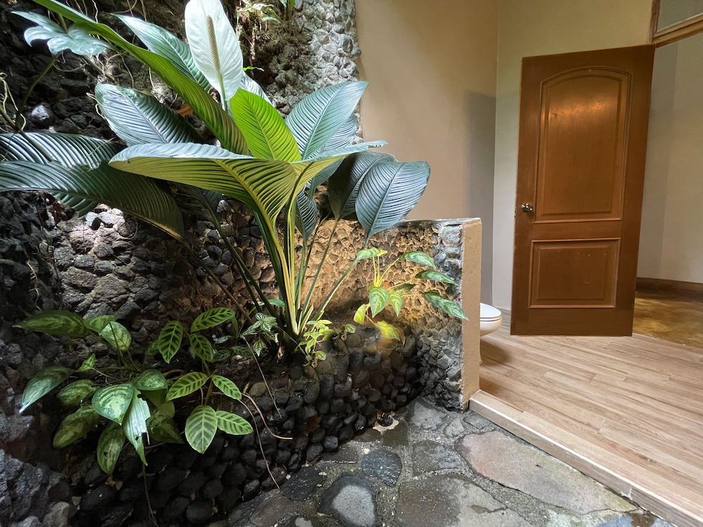 Lost Iguana Resort and Spa 28/71