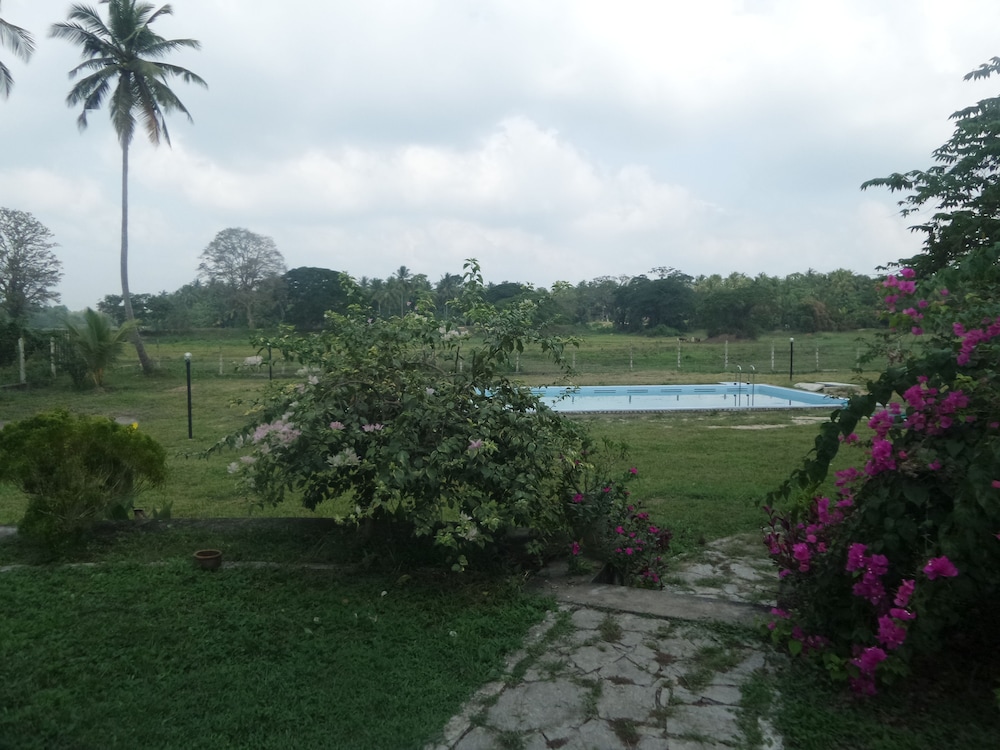 Cocoworld Bungalow 25/50