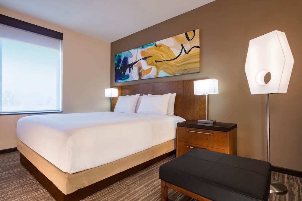 Hyatt Place Aguascalientes Bonaterra 25/59