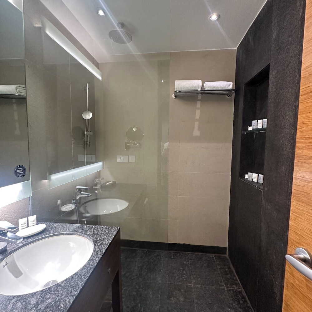 HYATT PLACE HAMPI 77/78