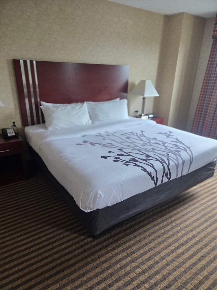 Lynchburg Grand Hotel 23/50