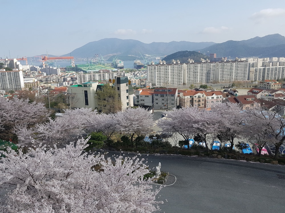 Geoje Oasis Hotel 31/36