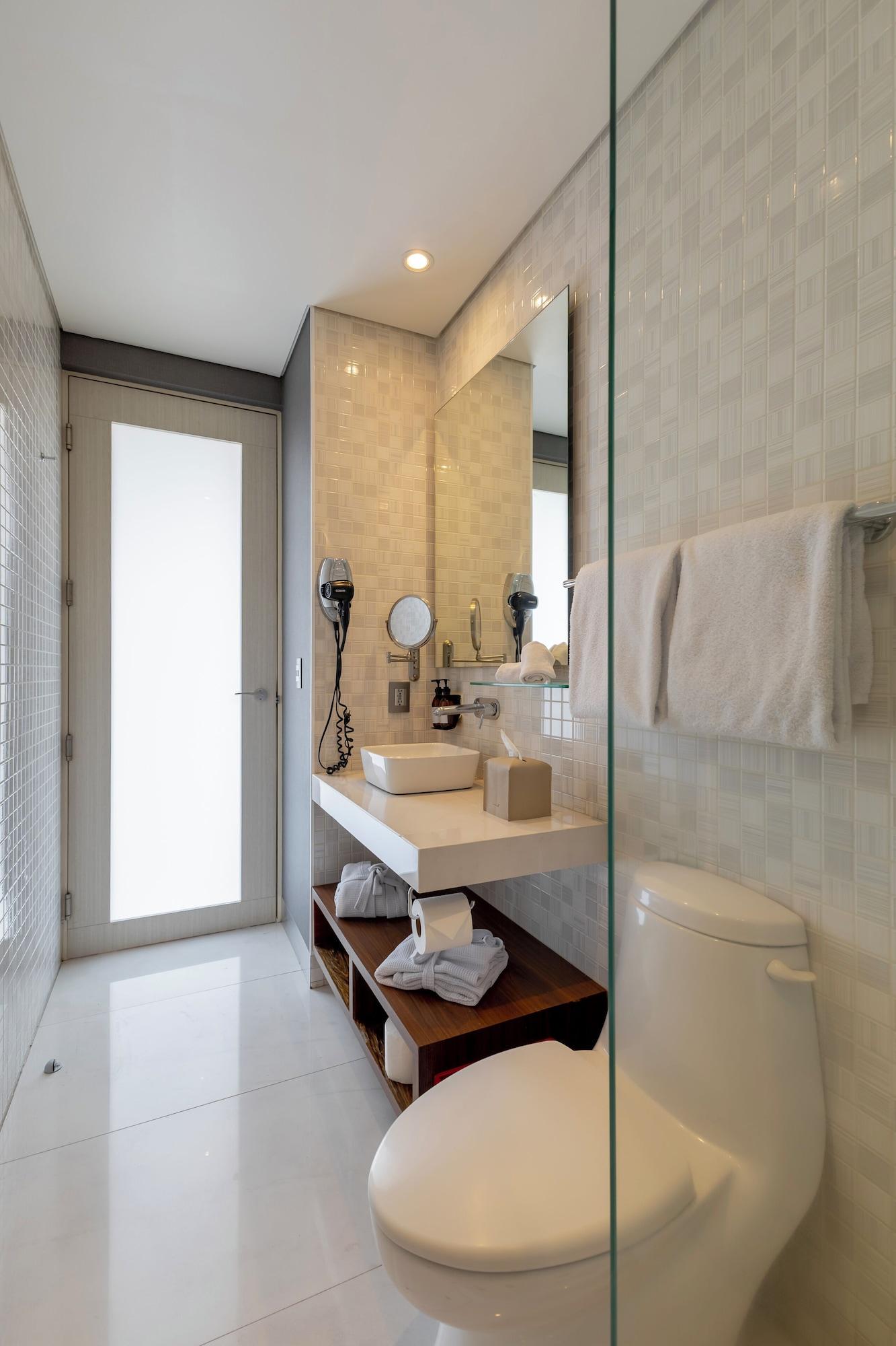 جناح تنفيذي، Capitalia ApartHotel San Angel Inn 7/8