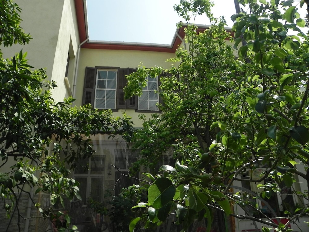 Lotus花园旅舍(Lotus Garden Hostel) 图片4