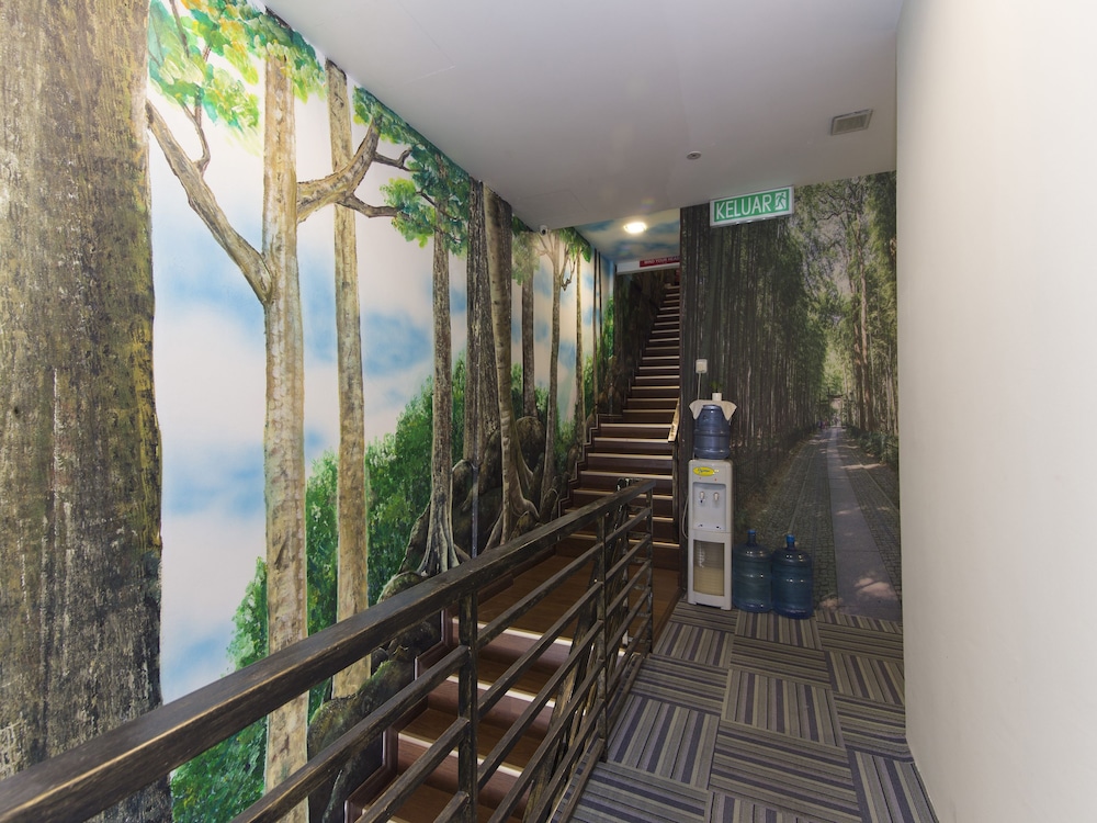 Rain Forest Hotel 34/51
