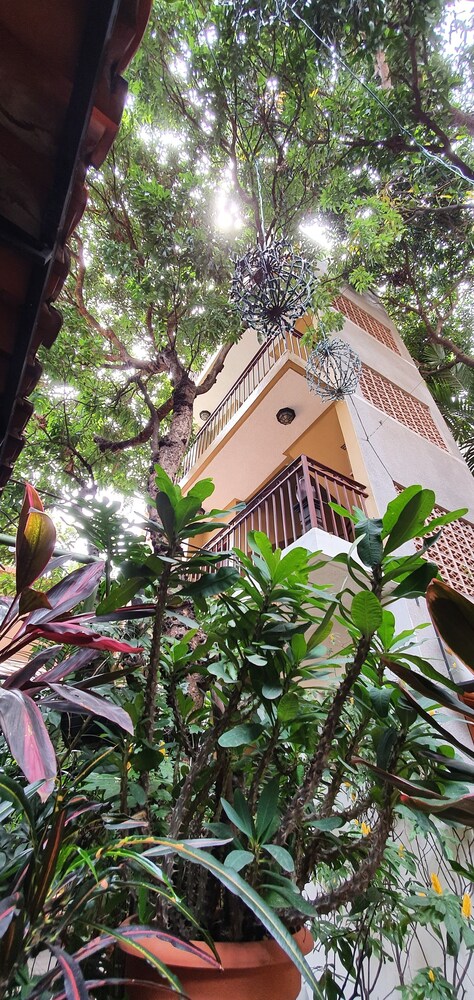 Humuya Inn Hotel 4/78