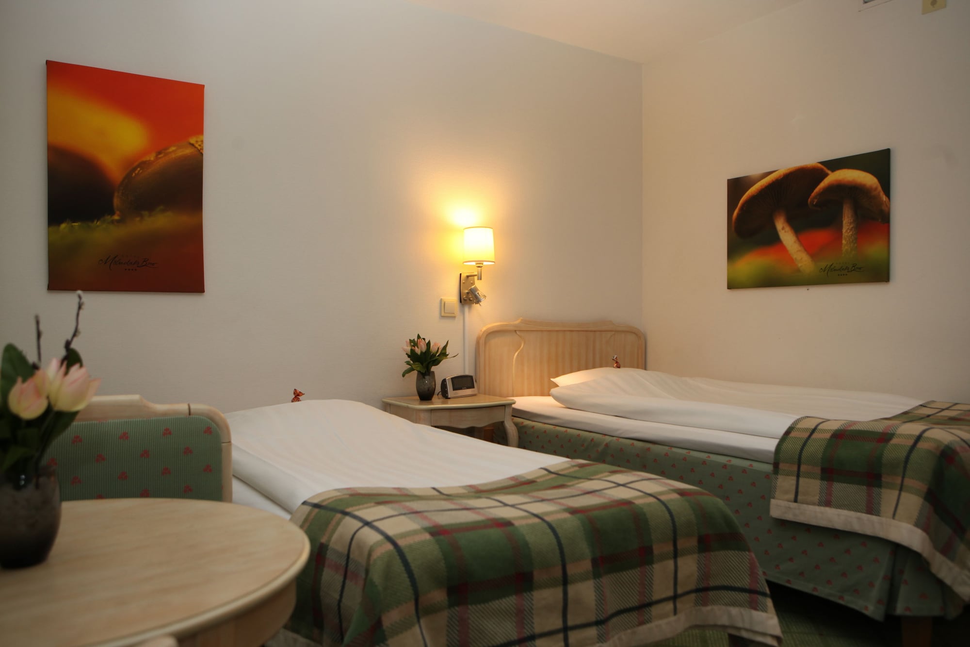 Economy, Single, Twin Beds, with Extra Bed 2/5