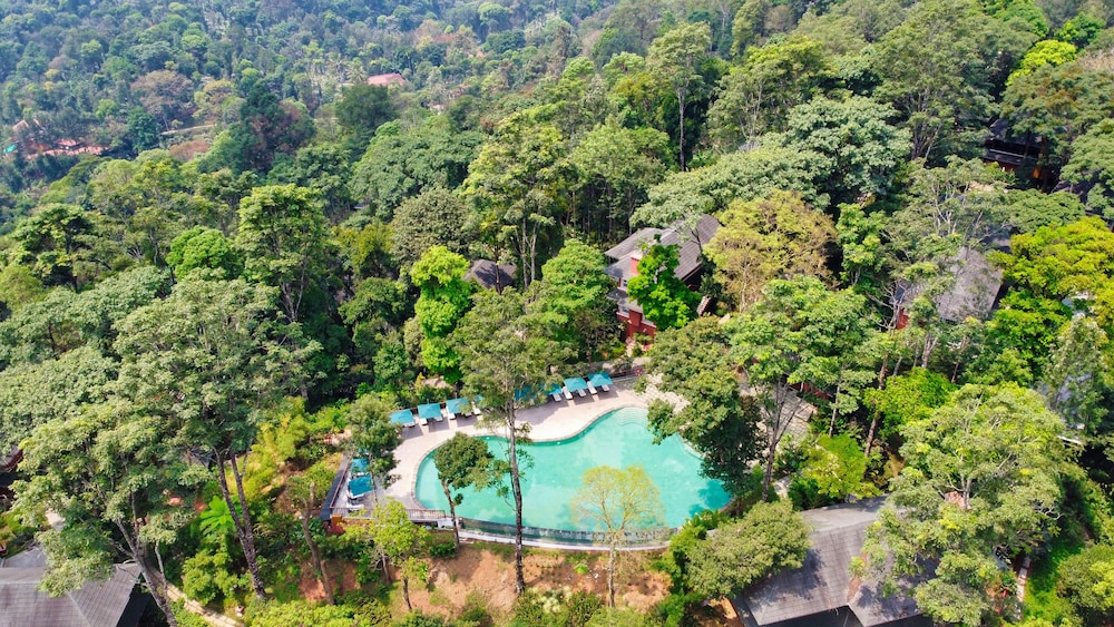 Coorg Wilderness Resort & Spa 34/50