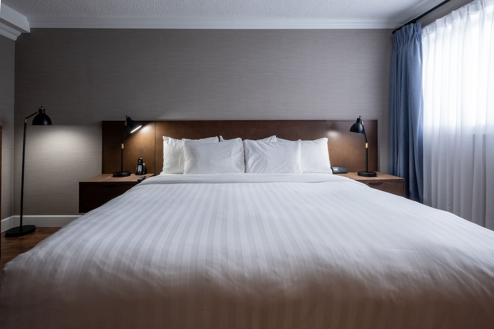 Designer, Suite, King Bed