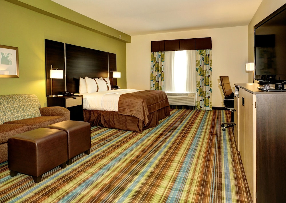 Holiday Inn Christiansburg Blacksburg 19/53