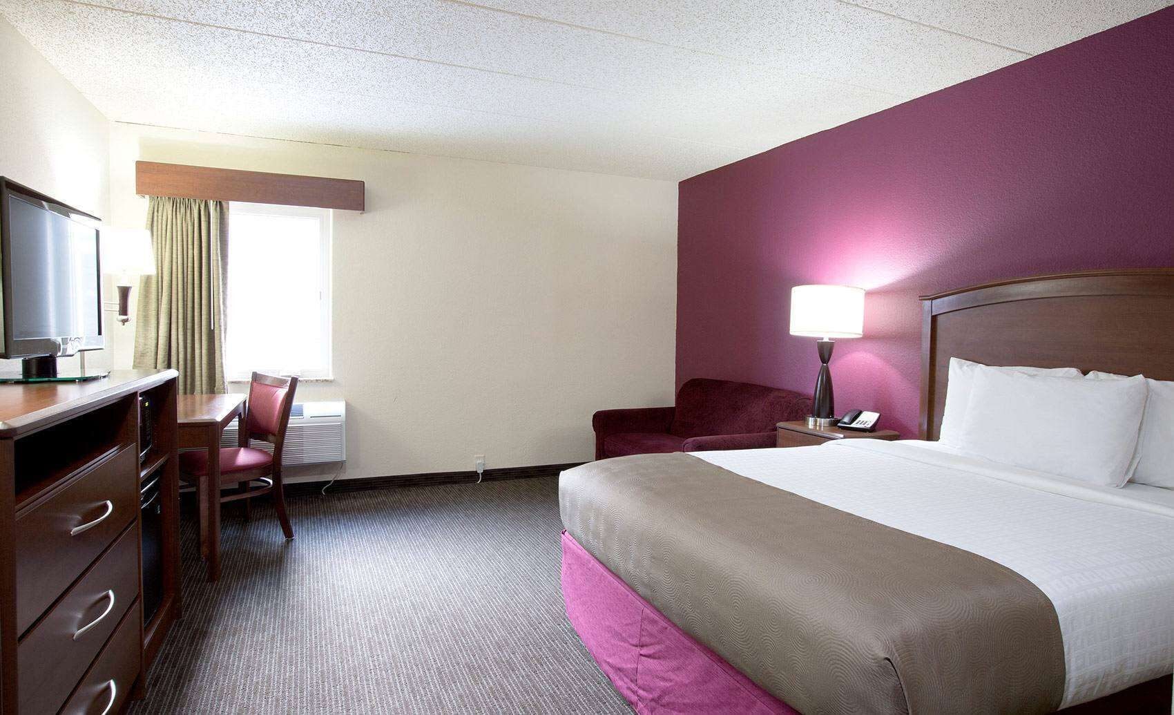 Deluxe, Studio, Suite, King Bed