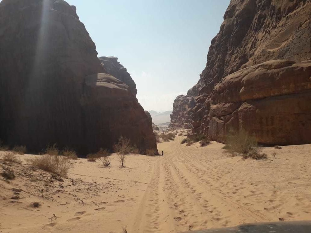 Desert Lovers Camp 23/48