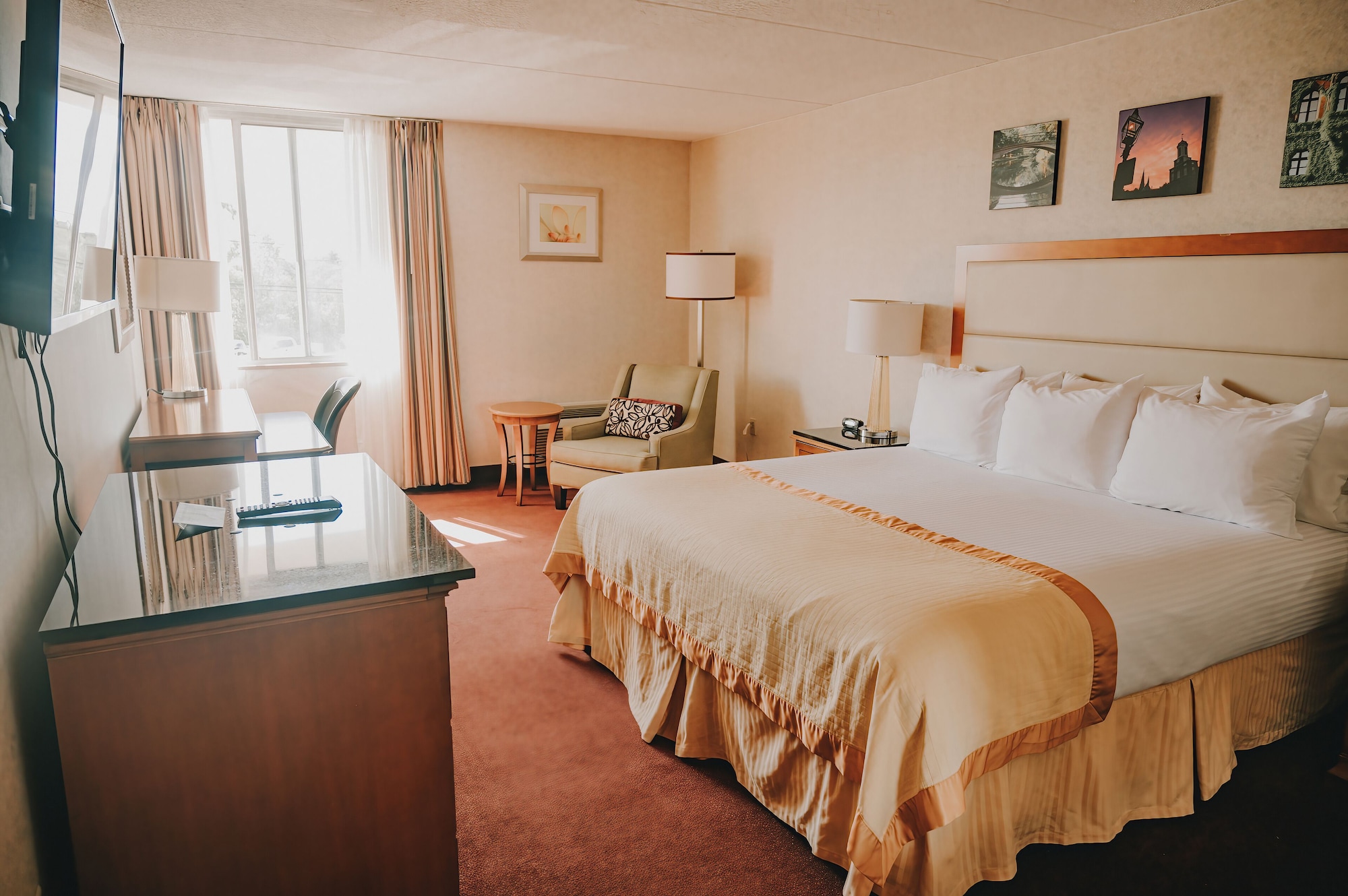 غرفة ديلوكس بسرير كينج يُسمح فيها بالحيوانات الأليفة، Bangor Grande Hotel and Conference Center 2/7