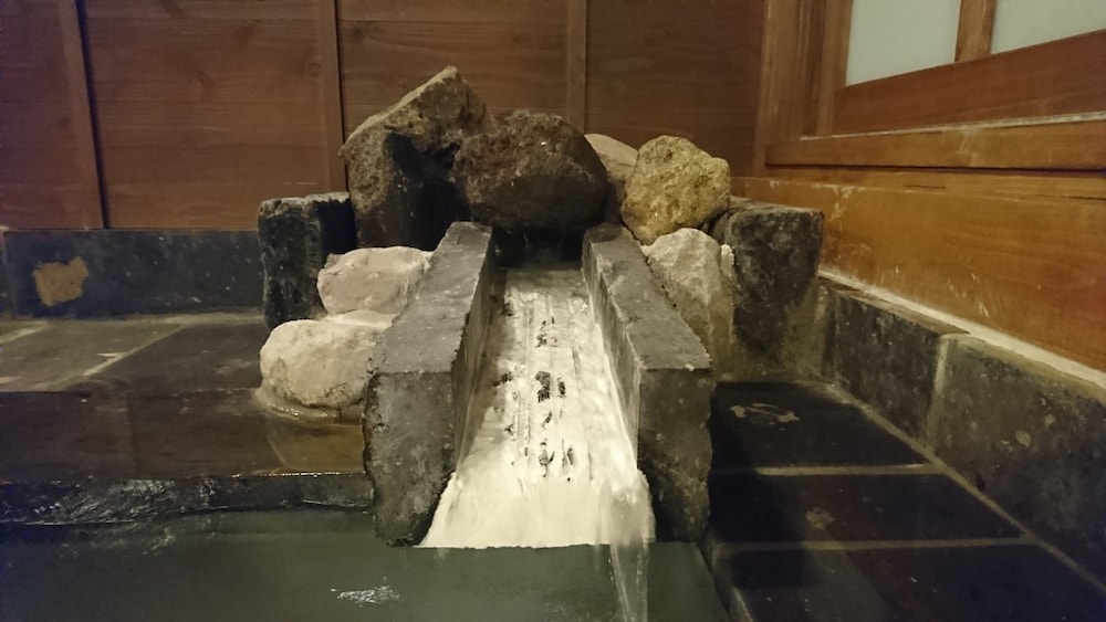 Kurokawa Onsen Ryokan Ichinoi 20/50