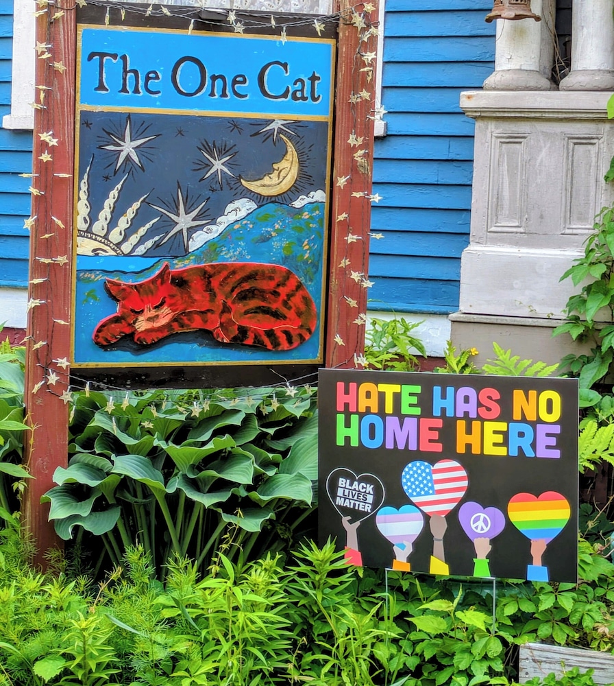 The One Cat B And B 37/44