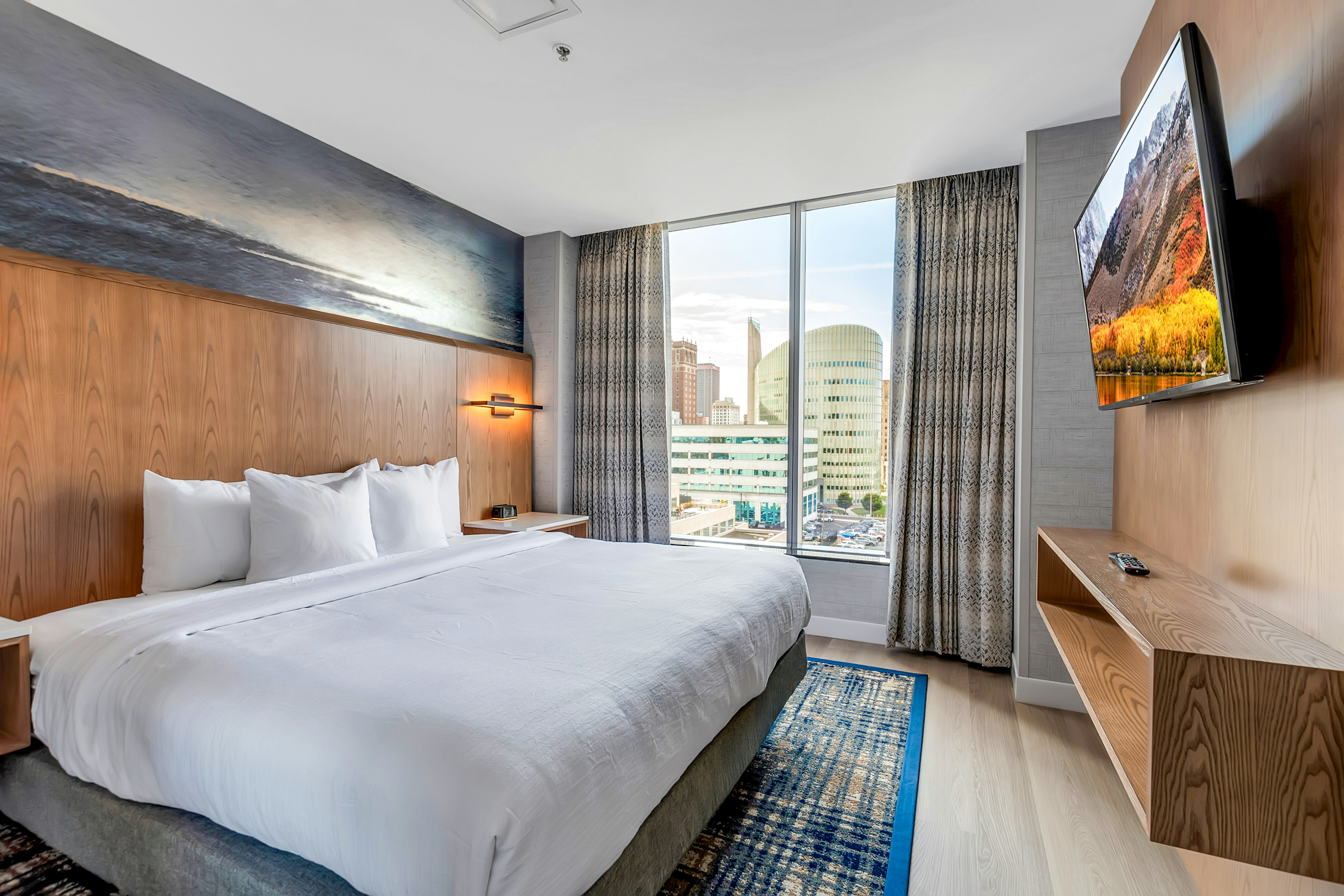 Room, King Bed, Allergy Friendly