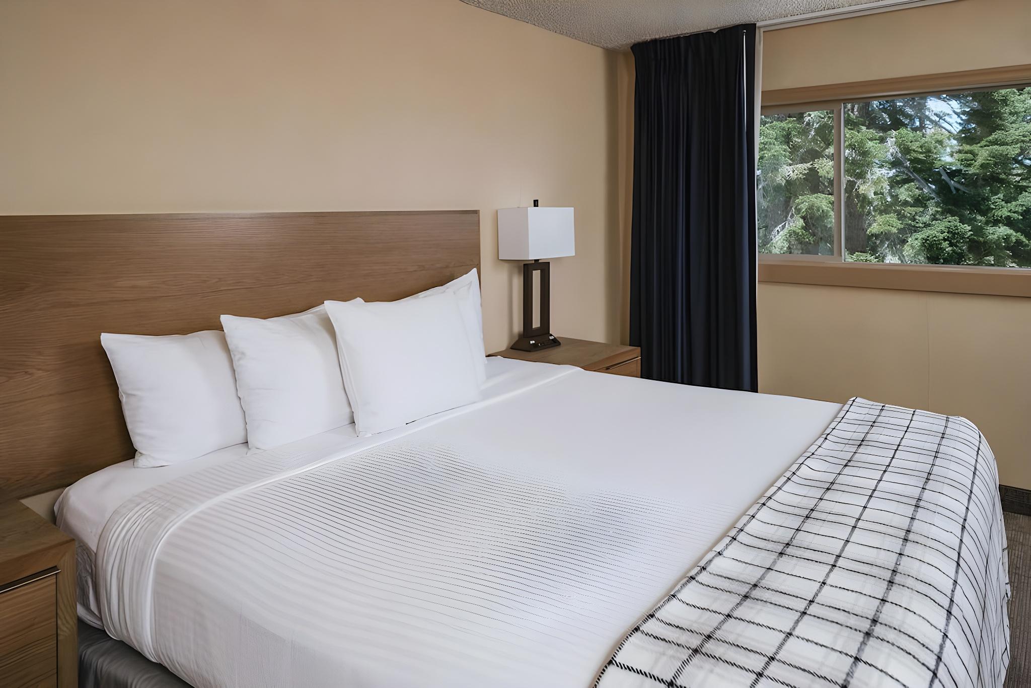 1 Bedroom, Condominium, Condo, Loft