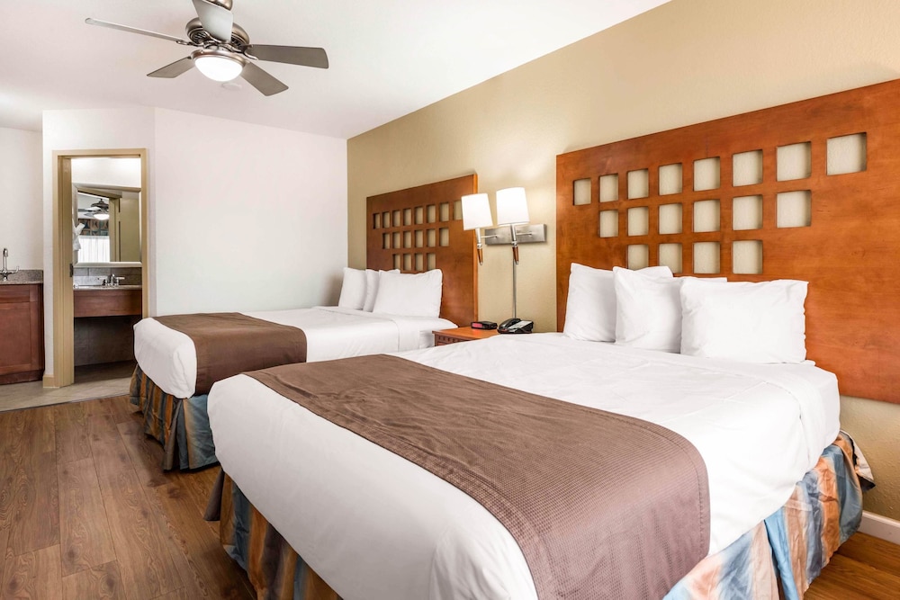 Rodeway Inn and Suites Fort Lauderdale Airport and Cruise Port 14/50