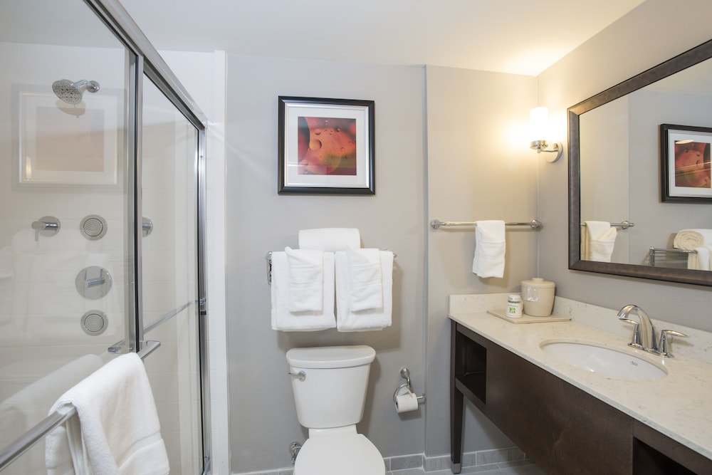 HOLIDAY INN HOTEL SUITES CINCINNATI DOWNTOWN 9/56