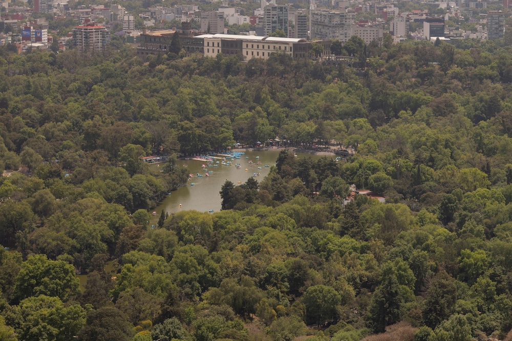 Hyatt Regency Mexico City 48/50