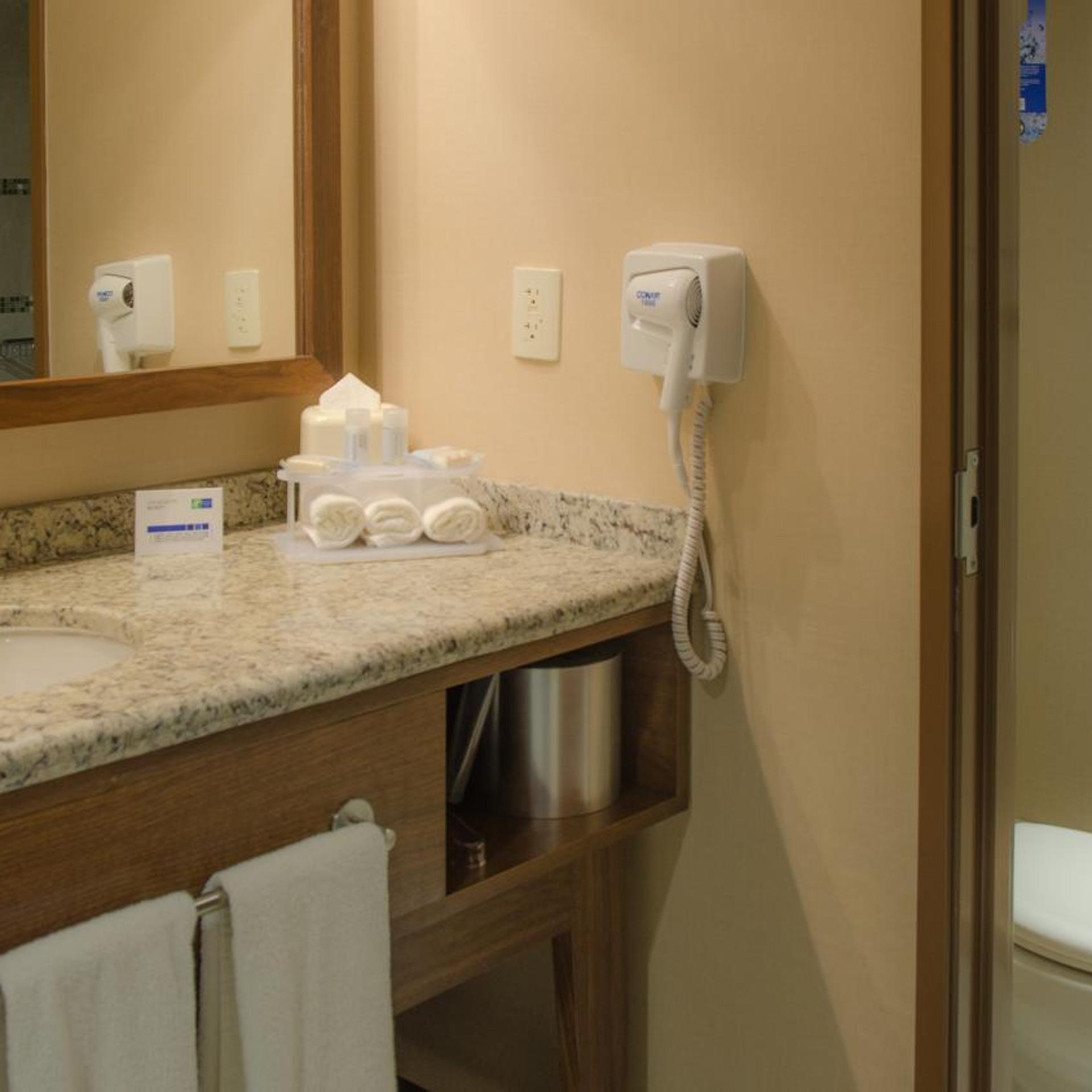 Standard, Double Bed, Holiday Inn Express and Suites Celaya 5/5