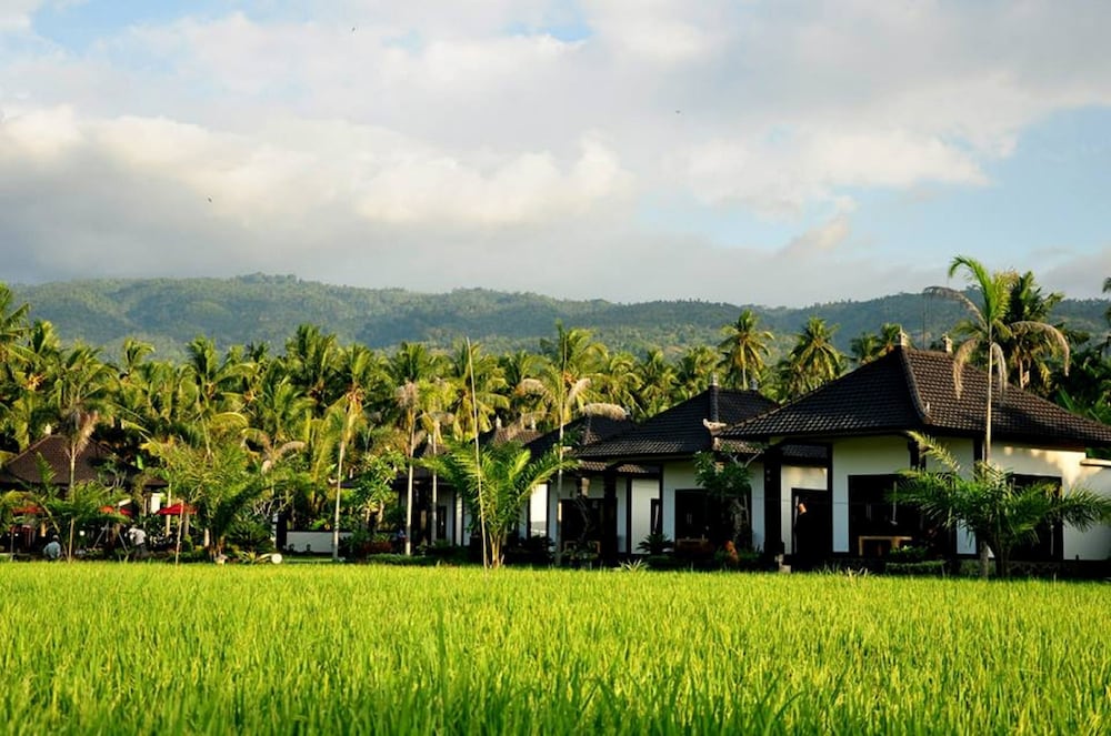 Pandawa Village 30/43