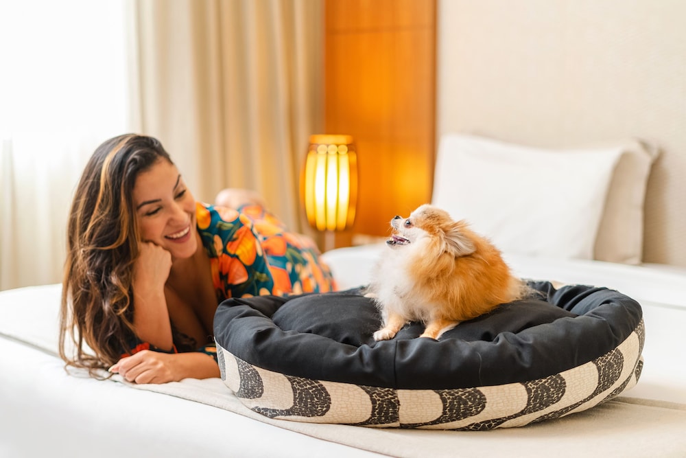 Matiz Niteroi Design Hotel Ex Best Western Plus Icarai Design Hotel 11/18