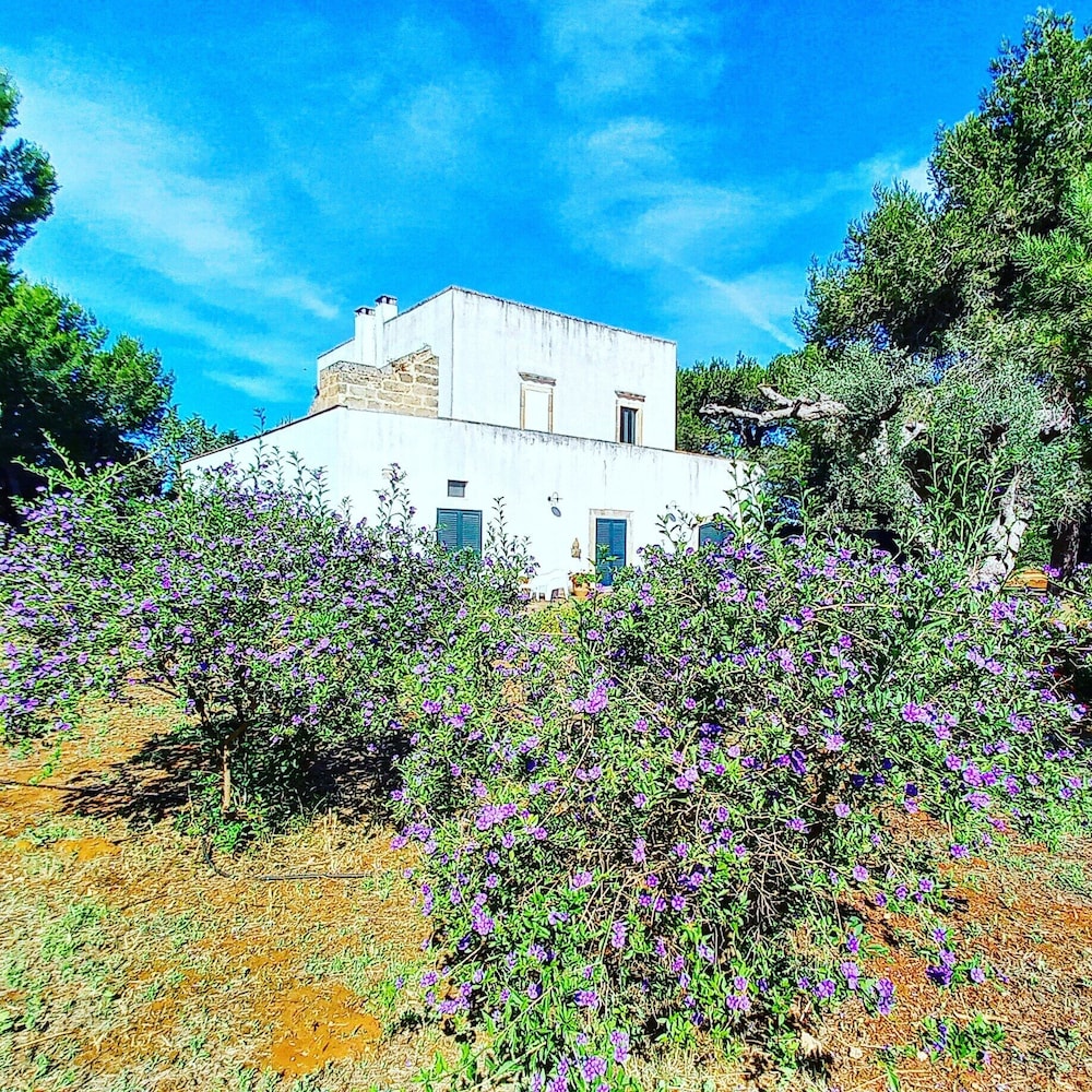Masseria Fracchicchi 40/48