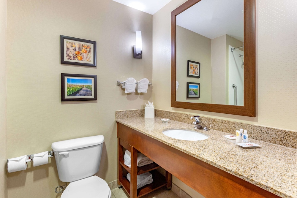 Comfort Suites Glendale State Farm Stadium Area 17/45