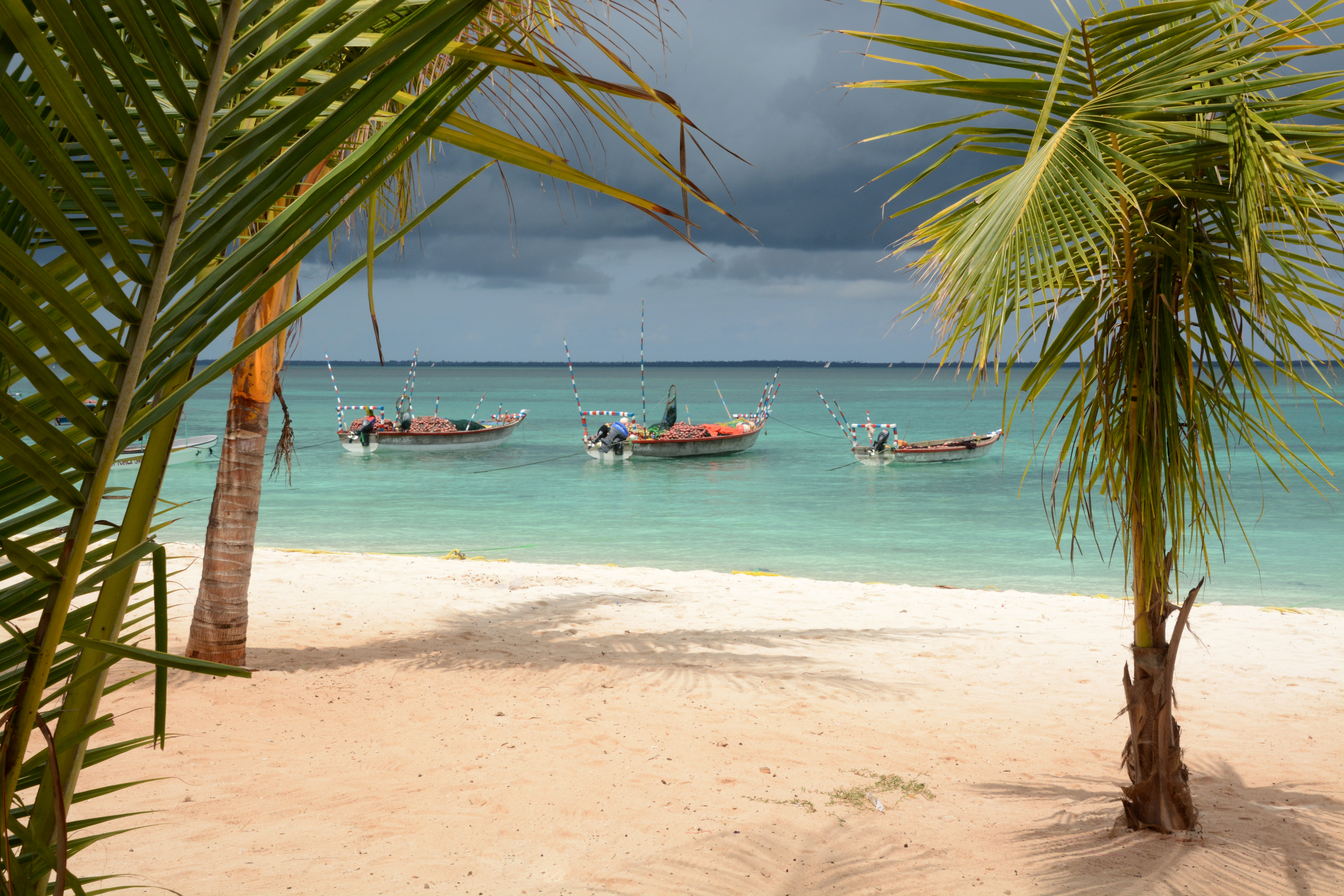 Sansi Kendwa Beach Resort 41/58