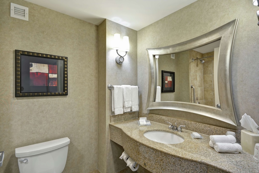 Hilton Garden Inn Toledo Perrysburg 18/51