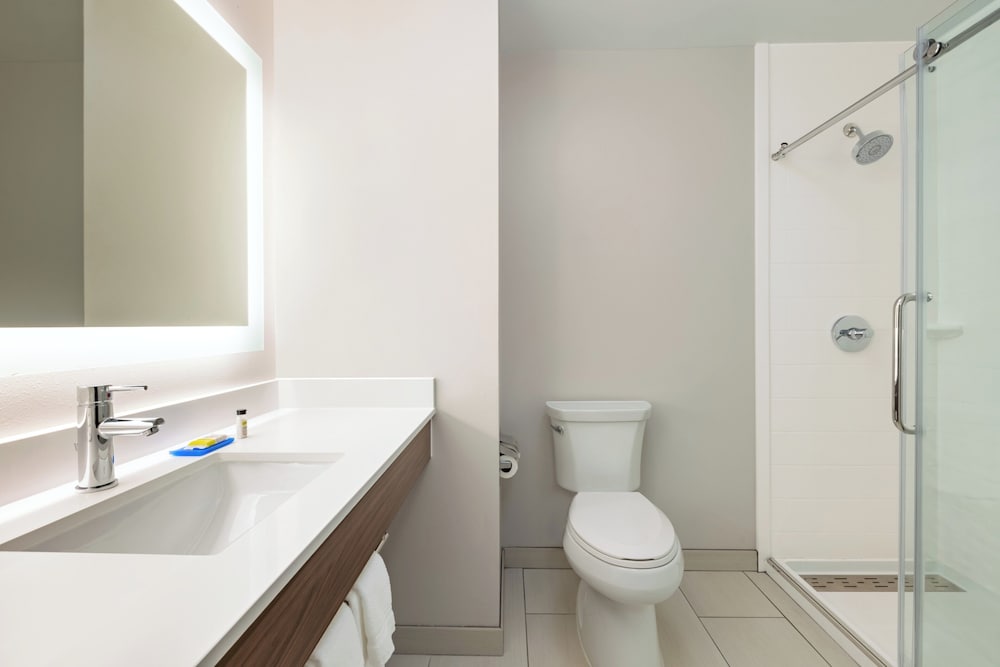 Holiday Inn Express Hotel Suites Opelika Auburn 68/71