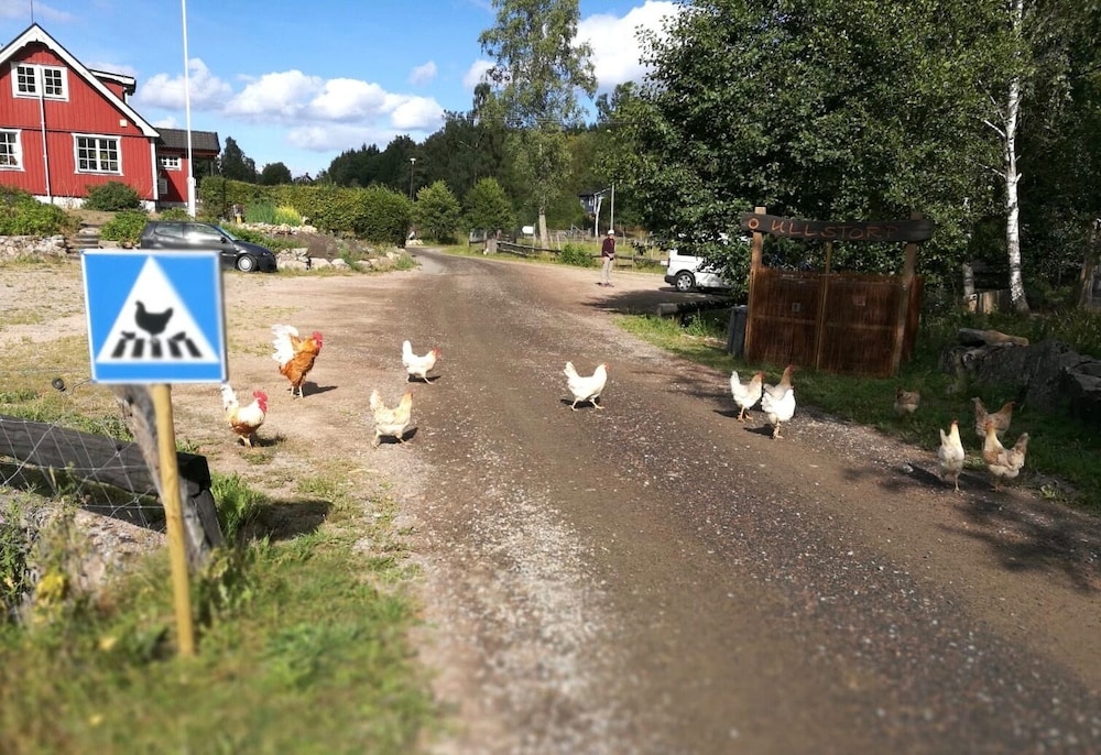 Ullstorps Stugor 27/50