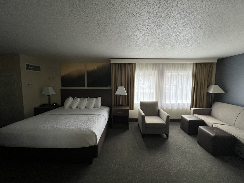 Deluxe, King Bed