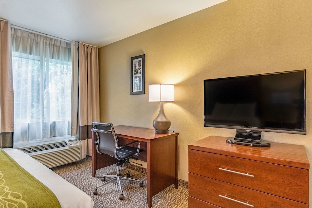 Comfort Inn Suites Tuscumbia Muscle Shoals 29/45