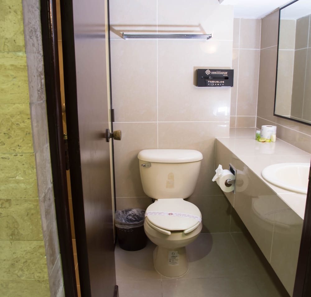 غرفة قياسية مفردة بسرير فردي، Hotel Ambassador Merida 6/8