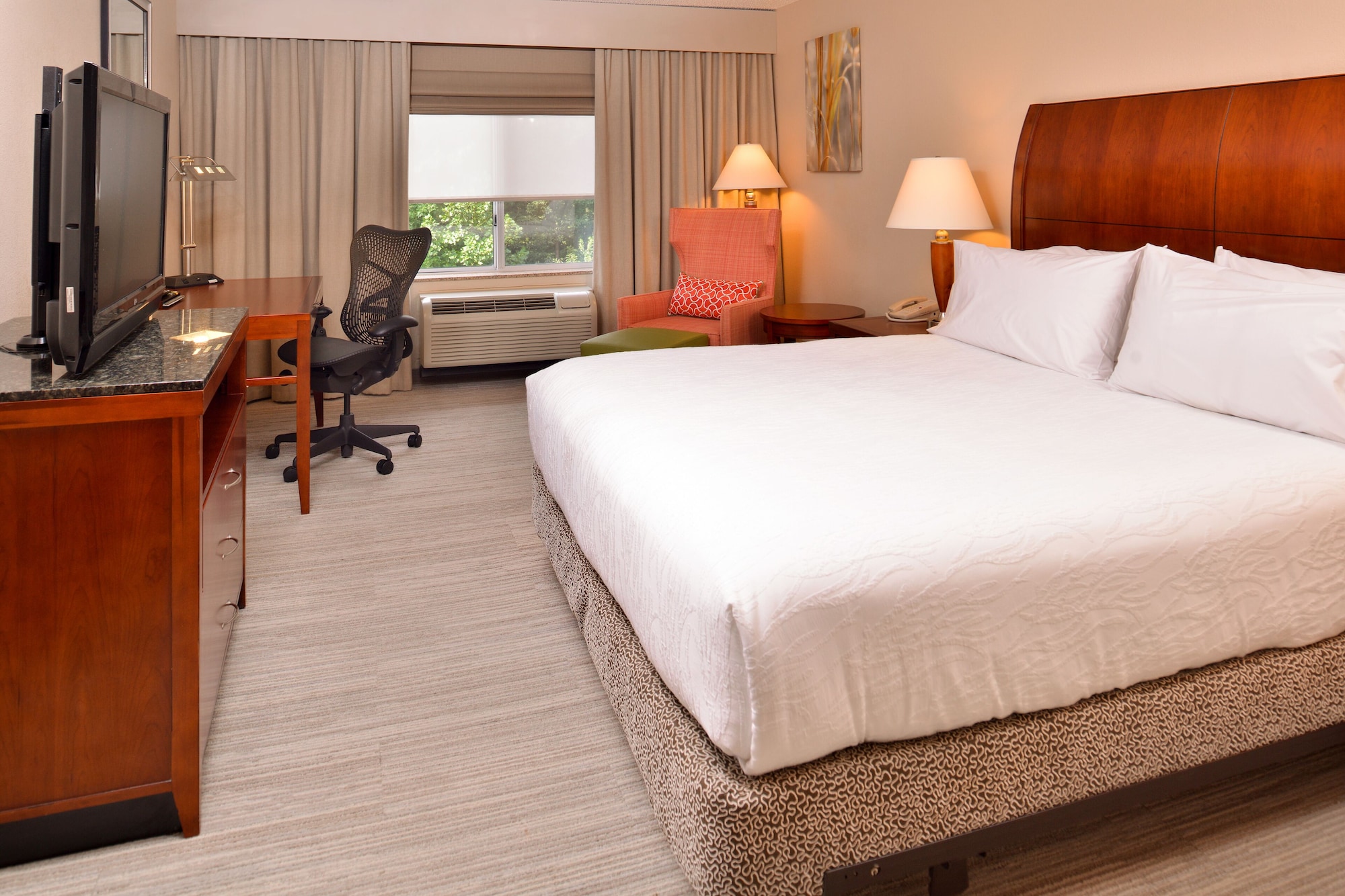 Room at HILTON GARDEN INN, DOVER - DE