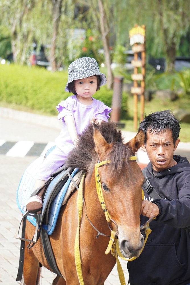 Nemuru Grand Bhuvana Ciawi 8/61