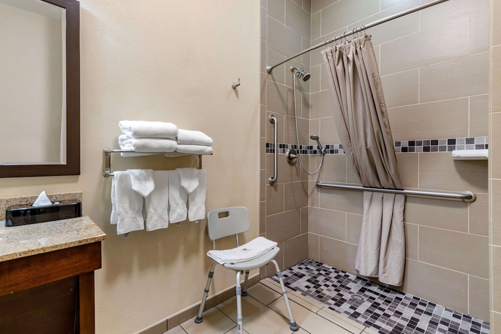 Comfort Inn Suites Lakeside 13/37