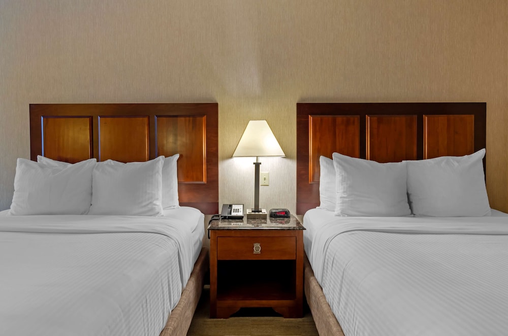 Spark by Hilton Staunton 19/41