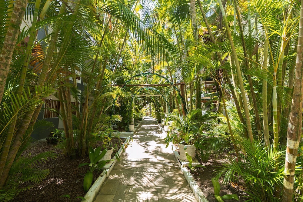 ECO VILLAGE INDAIA 45/50