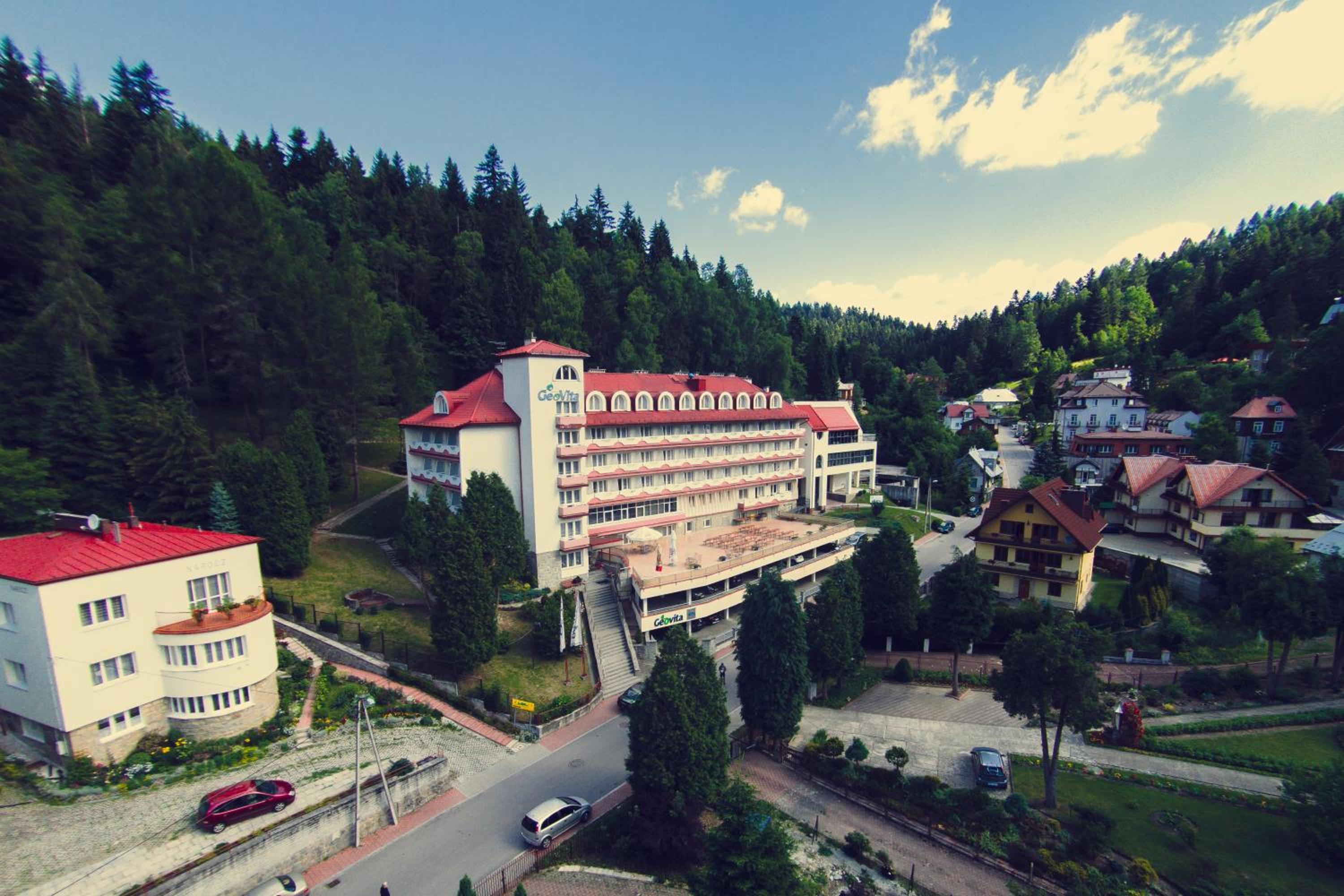 Geovita Krynica 5/60