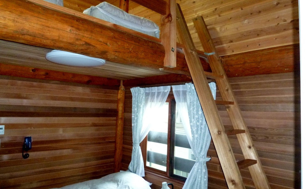 Hakuba Pension Meteor 38/75