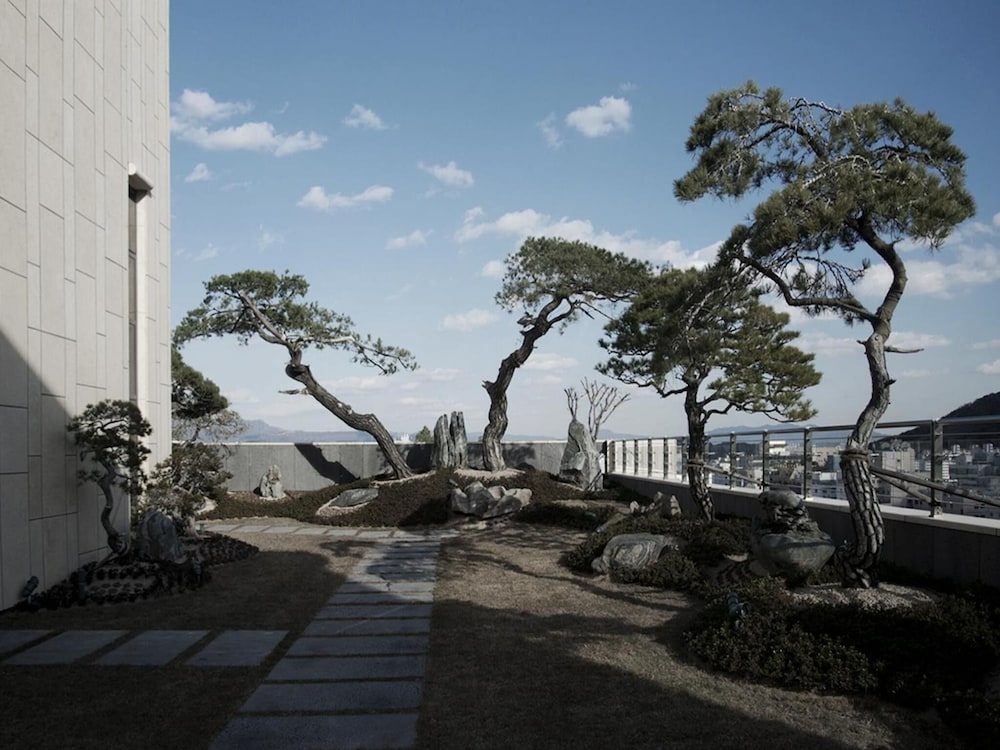 Pine Grove Hotel 42/57