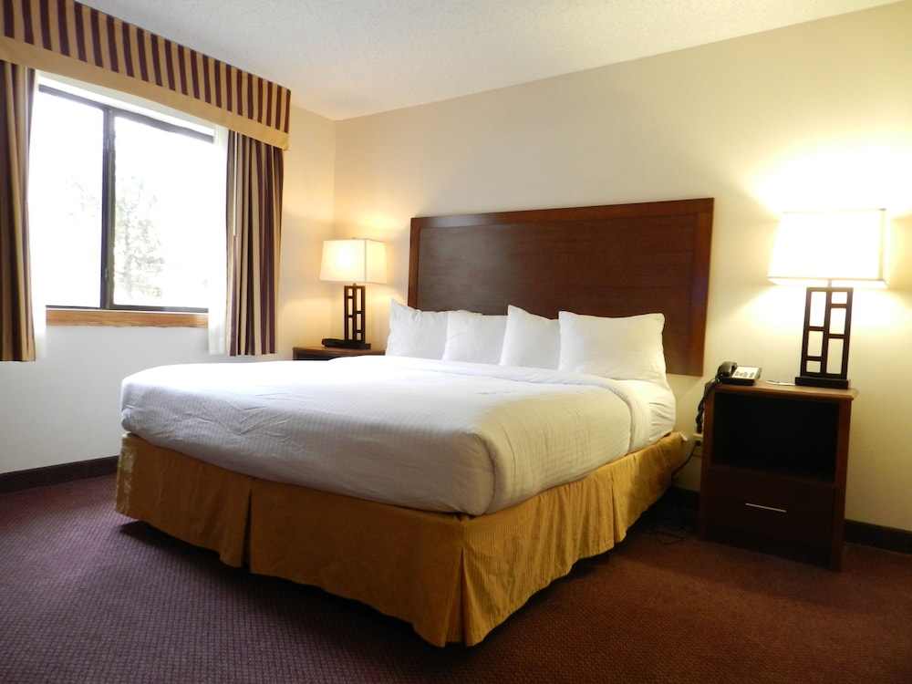 Ashmore Inn and Suites 13/61