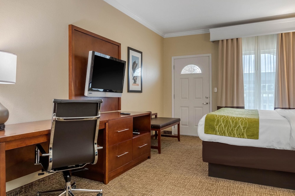 Comfort Suites Corpus Christi Central 13/34