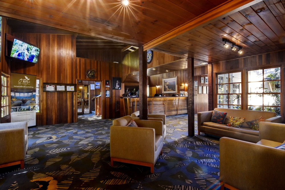 O Reilly S Rainforest Retreat 23/48
