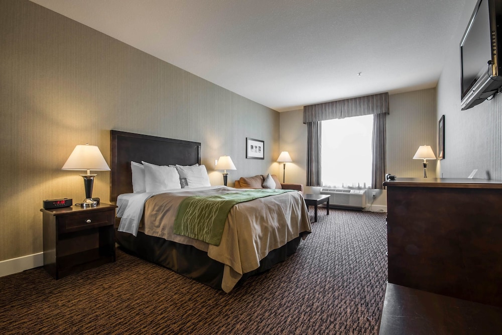 Comfort Inn & Suites Surrey 7/60