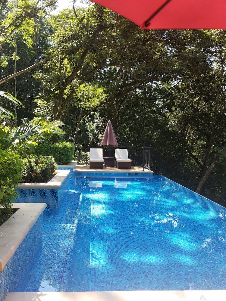 Table Rock Jungle Lodge 40/65