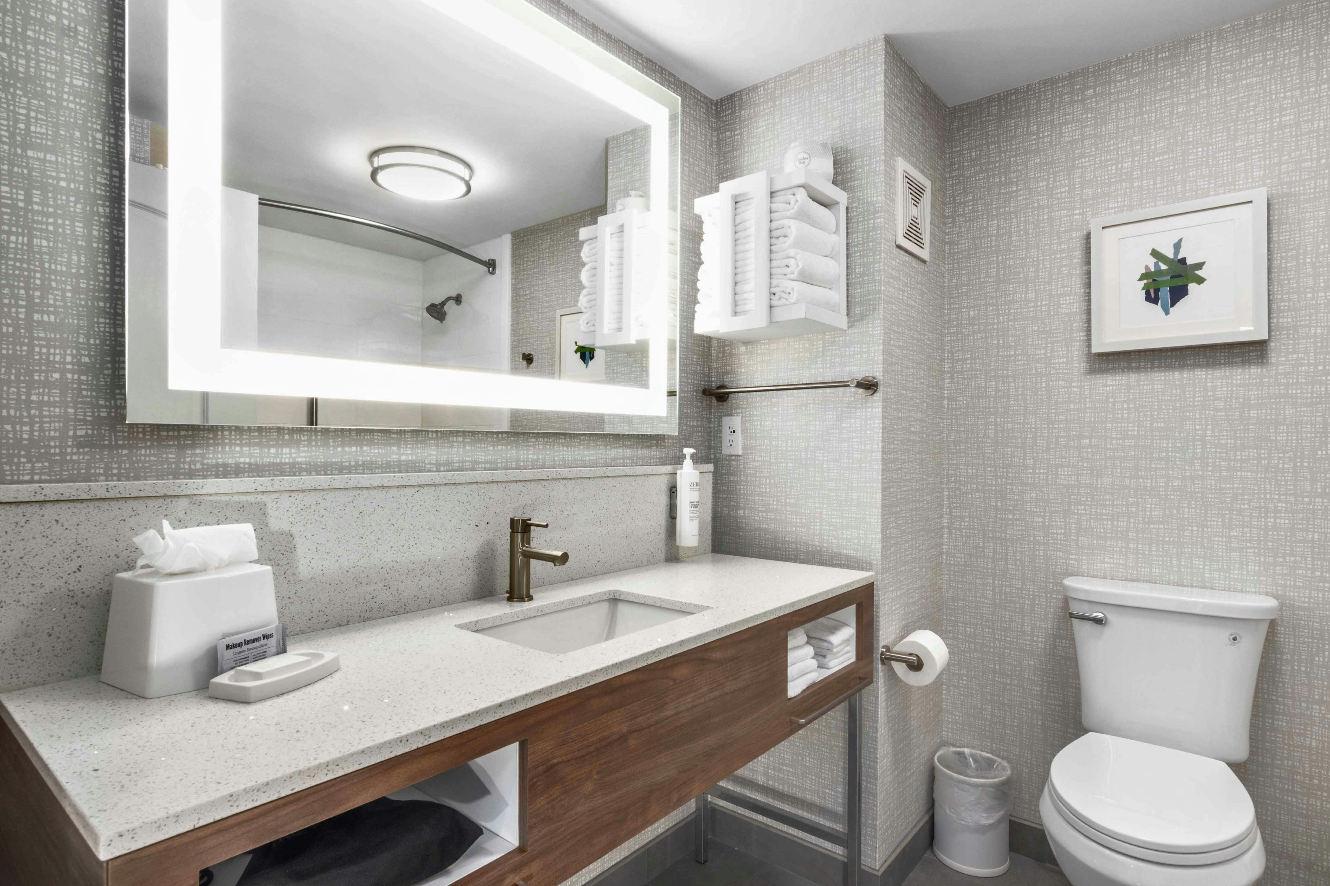 Hampton Inn and Suites Houston-Rosenberg 37/38